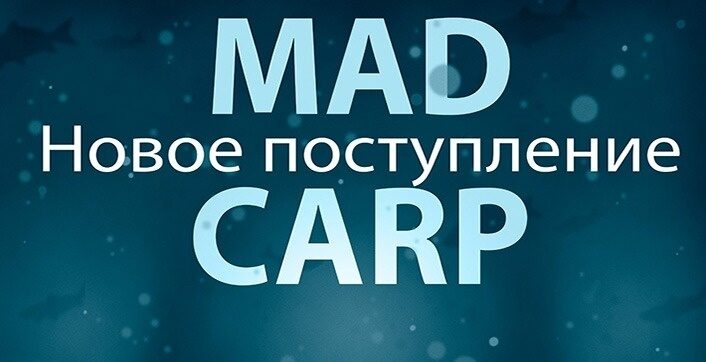 MAD CARP поступление июнь